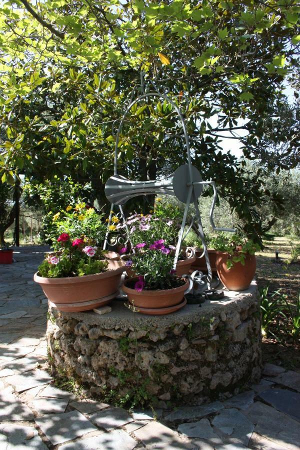 Mercouri Stone Cottage Korakokhórion 外观 照片