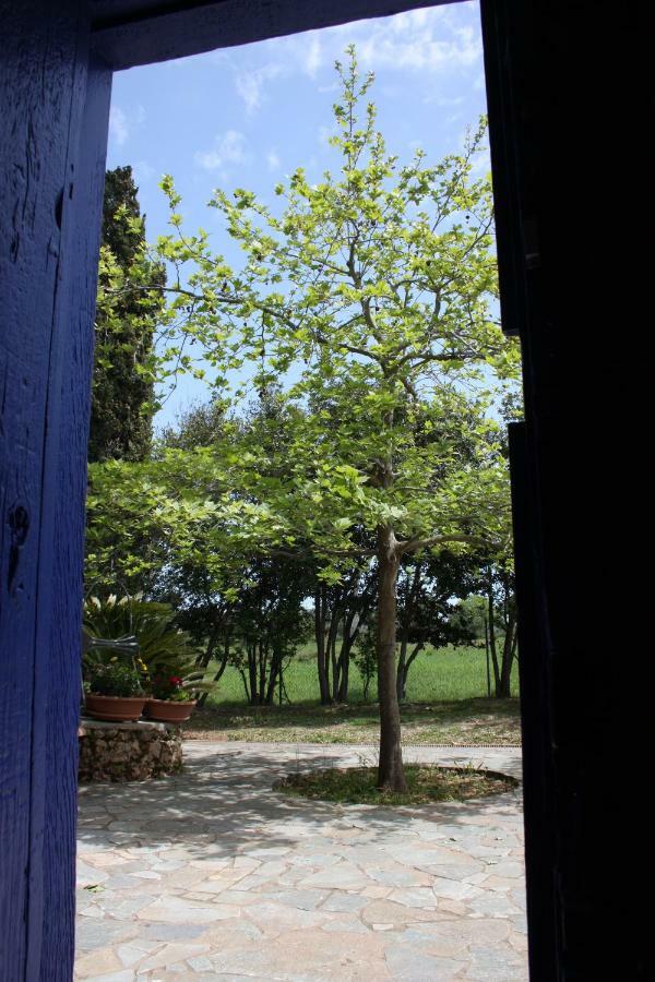 Mercouri Stone Cottage Korakokhórion 外观 照片